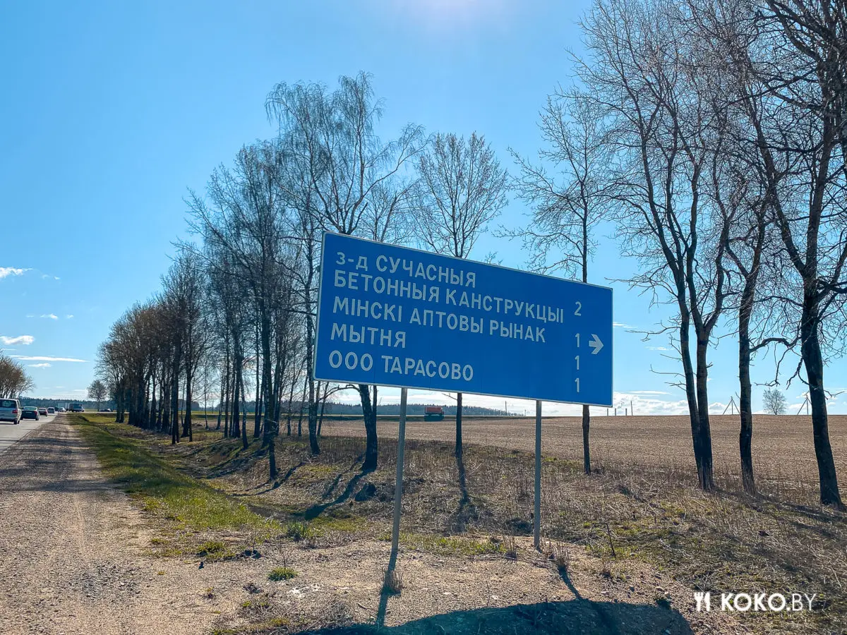 Где самые дешёвые овощи, фрукты и картошка - тестим сезонный рынок «Новый Лебяжий» - фото - 2