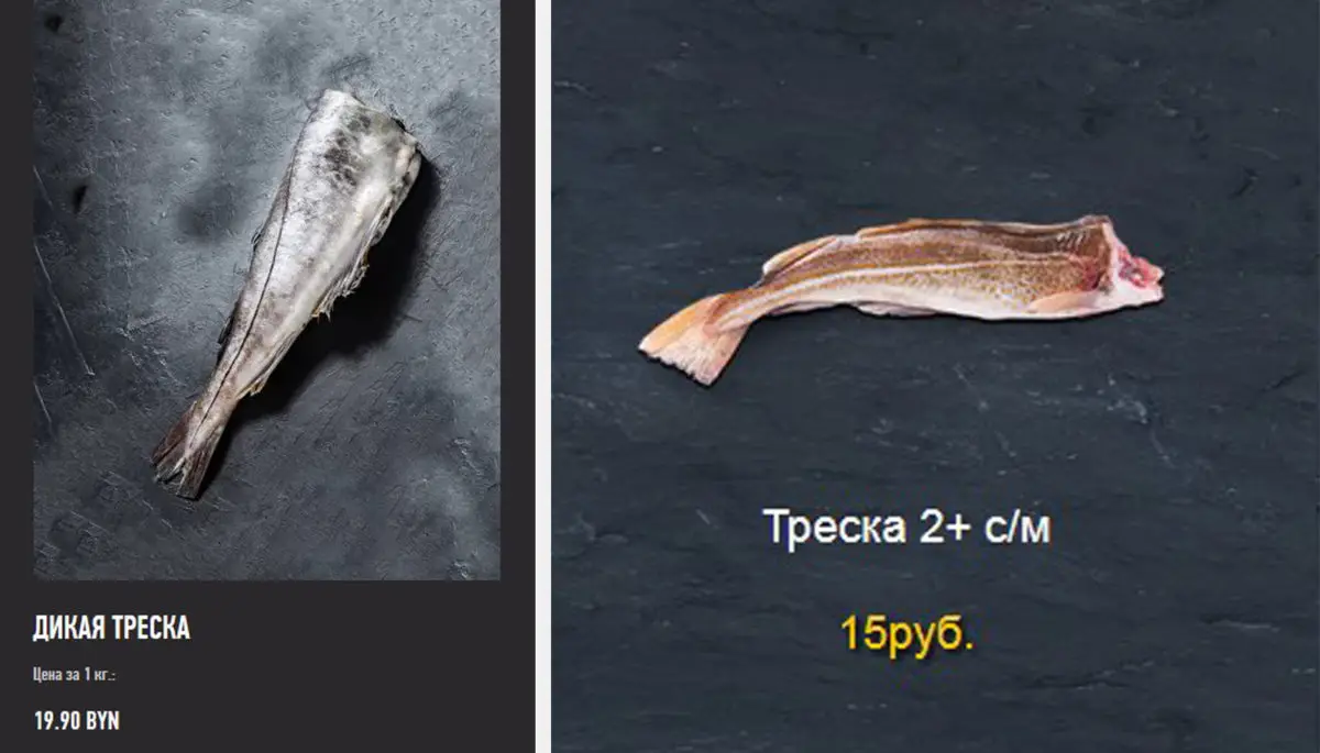 Для кого под домом Чижа открыли рыбный магазин «Ред Фиш»? - фото - 25