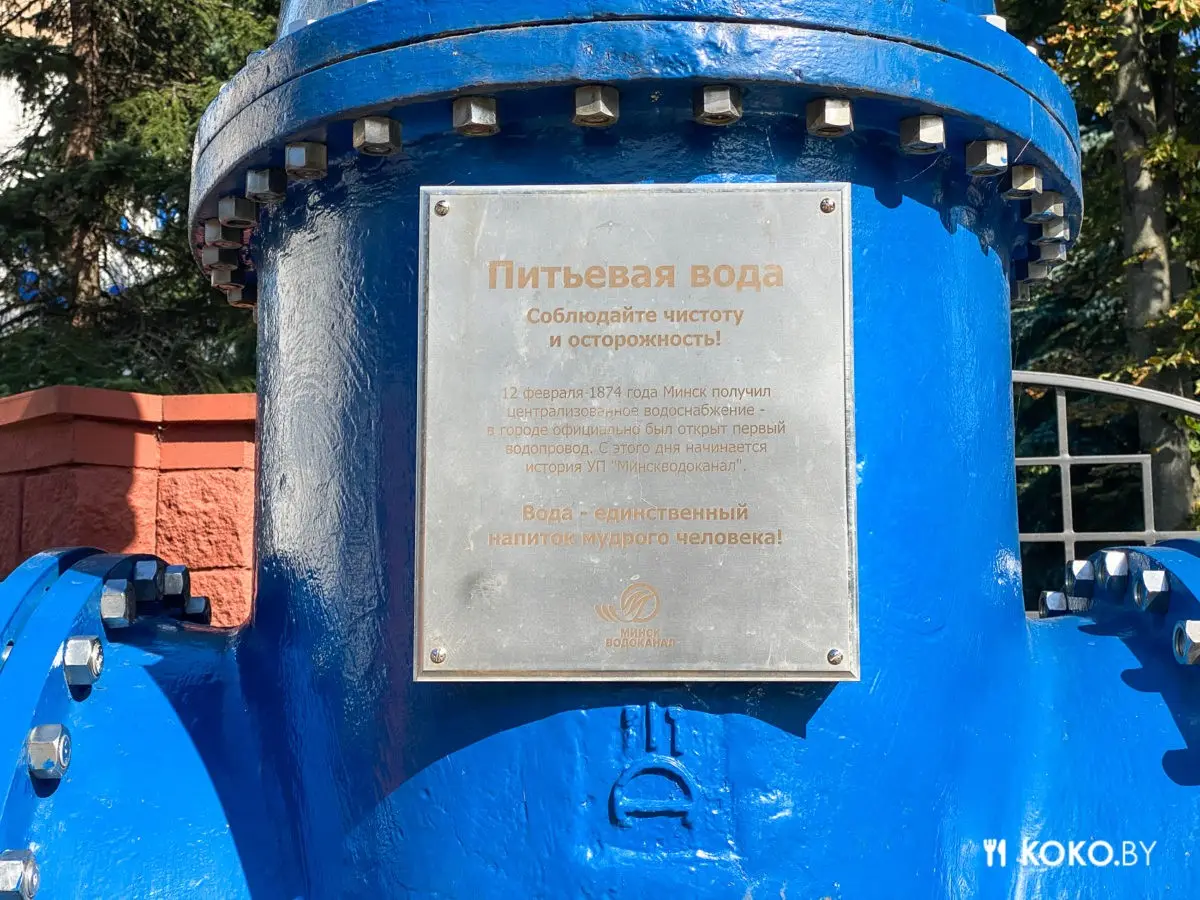 Проверяем легенду, есть ли мидии на обед в столовой Минскводоканала - фото - 3