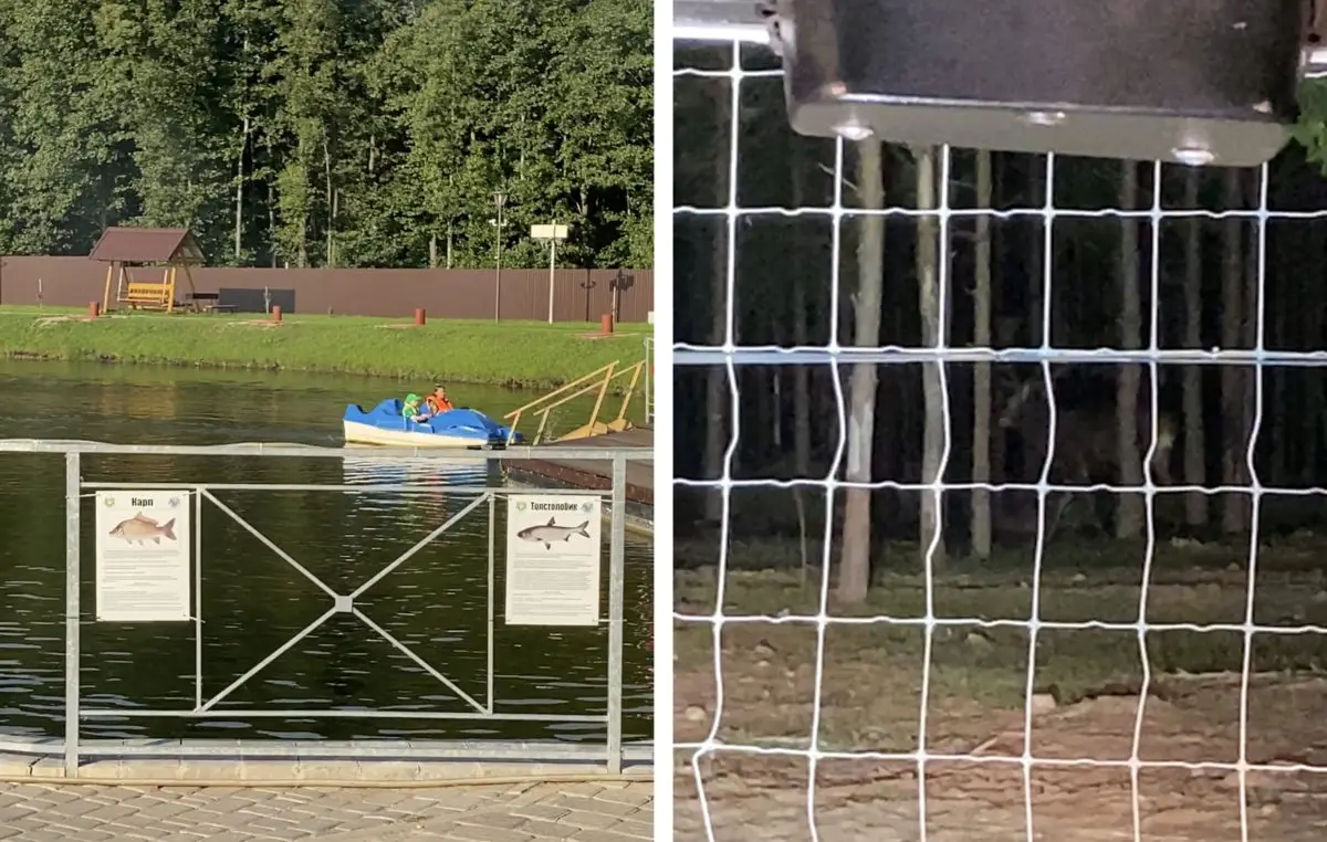 Одичали! Сколько стоит отдохнуть и покататься на вездеходе в охотничьем хозяйстве «Белый Лось» - фото - 7