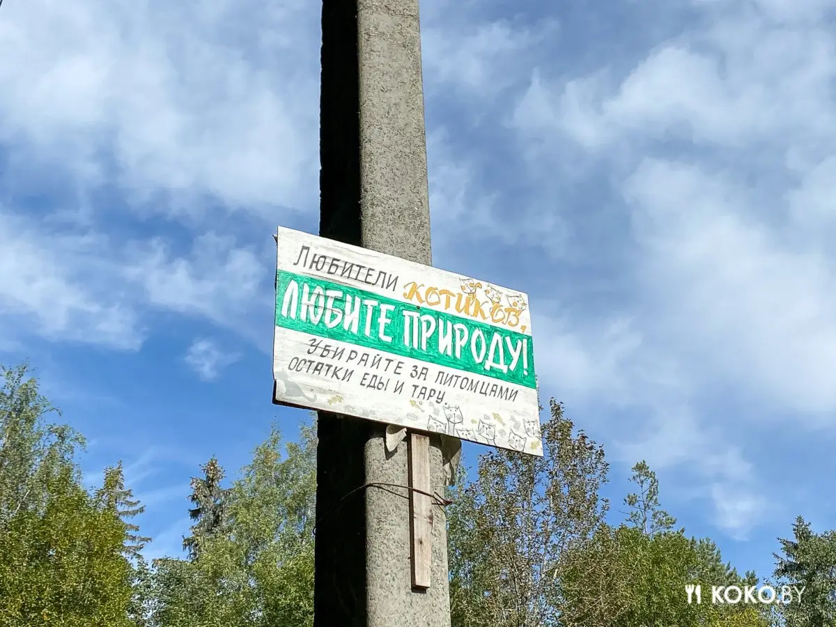 Из чего состоит обед за 3,57 рублей в заводской столовой Витебска - фото - 10