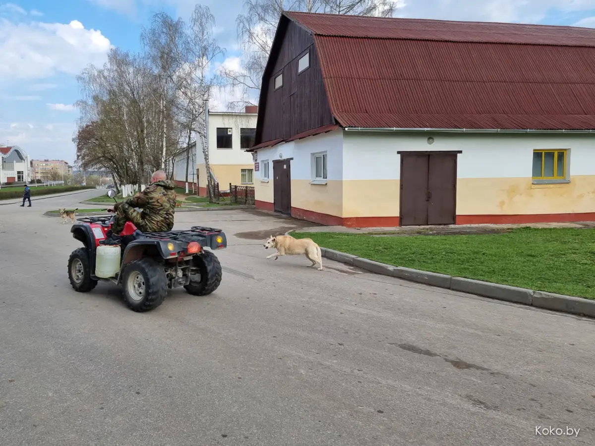 Показываю локации, где душевно погулять на природе за бесплатно и до 70 километров от Минска - фото - 13