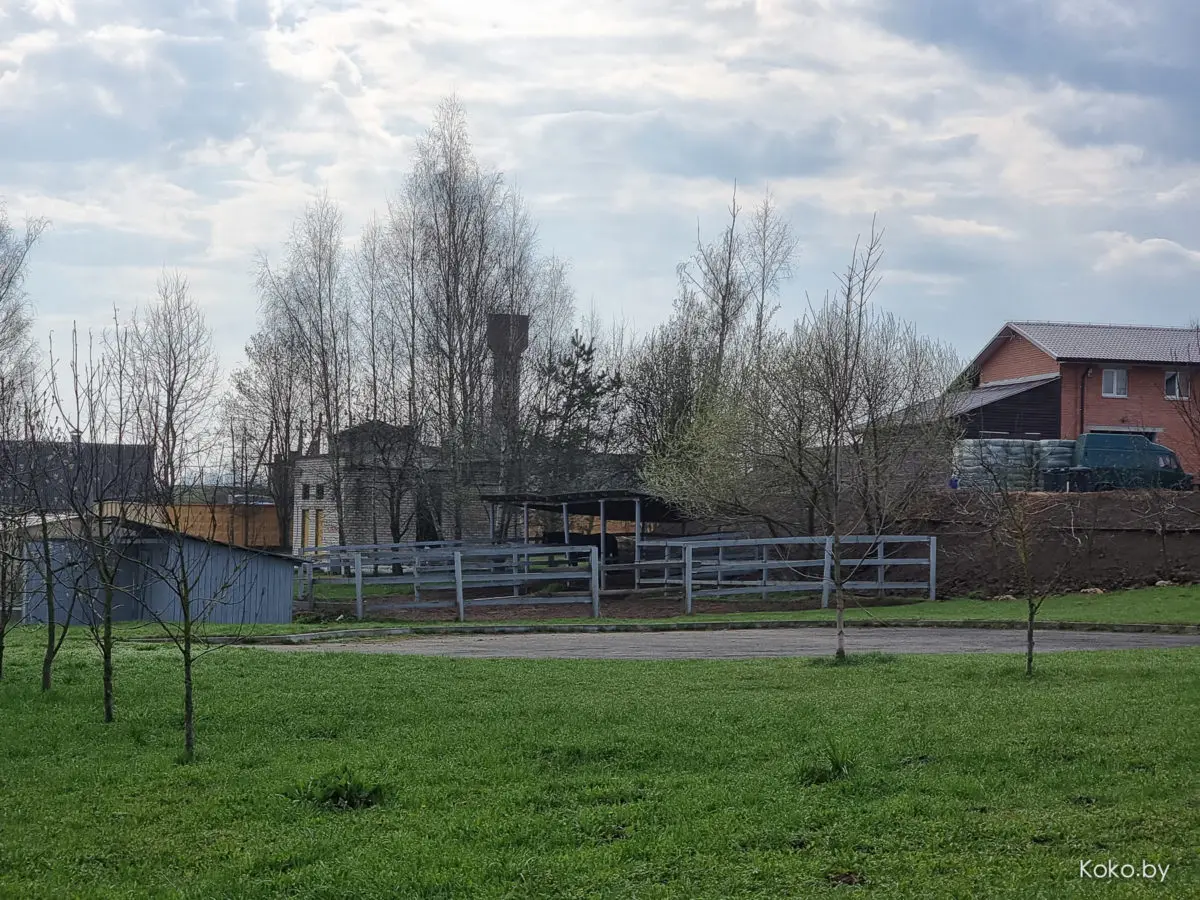 Показываю локации, где душевно погулять на природе за бесплатно и до 70 километров от Минска - фото - 15
