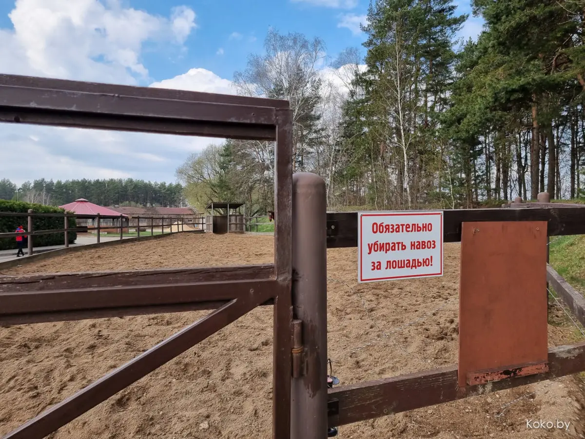 Показываю локации, где душевно погулять на природе за бесплатно и до 70 километров от Минска - фото - 16