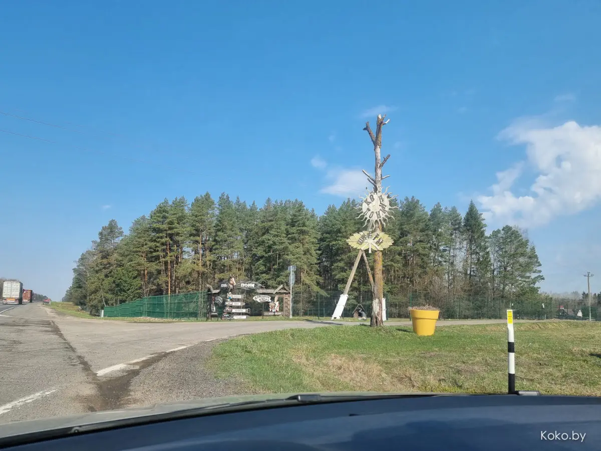 Показываю локации, где душевно погулять на природе за бесплатно и до 70 километров от Минска - фото - 27