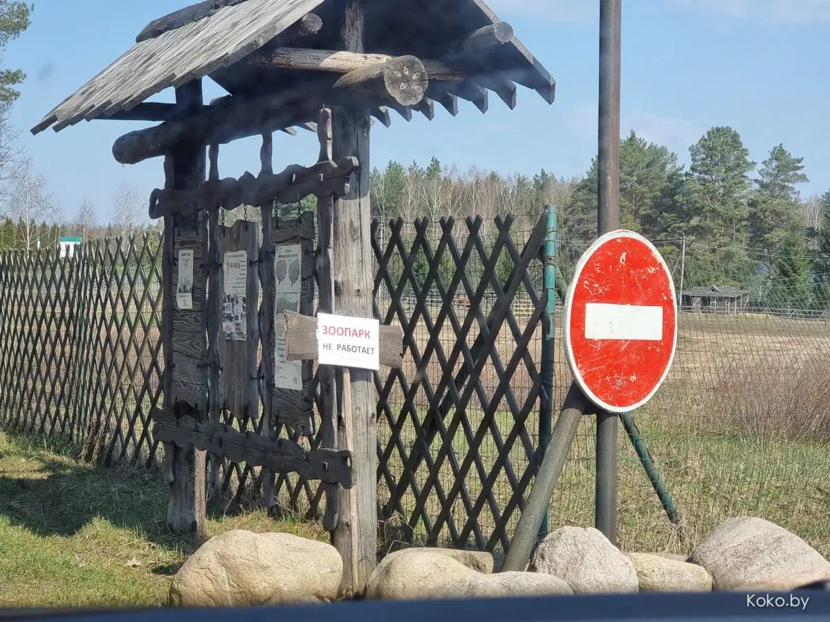 Показываю локации, где душевно погулять на природе за бесплатно и до 70 километров от Минска - фото - 29