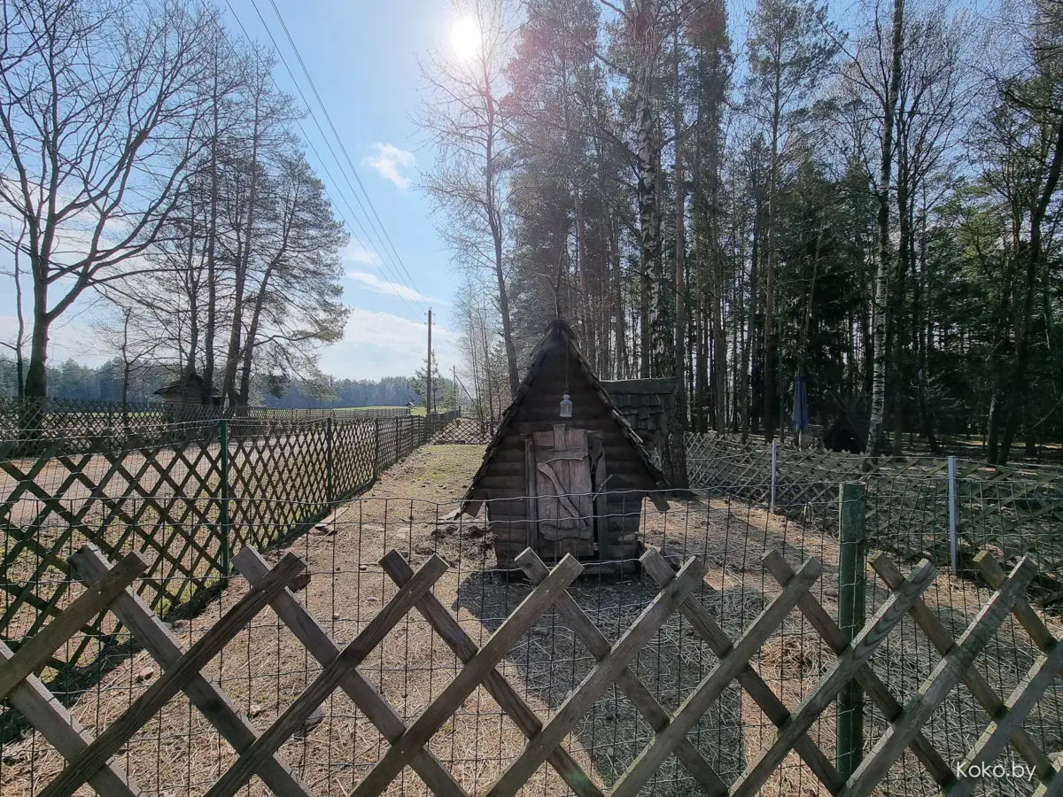 Показываю локации, где душевно погулять на природе за бесплатно и до 70 километров от Минска - фото - 44