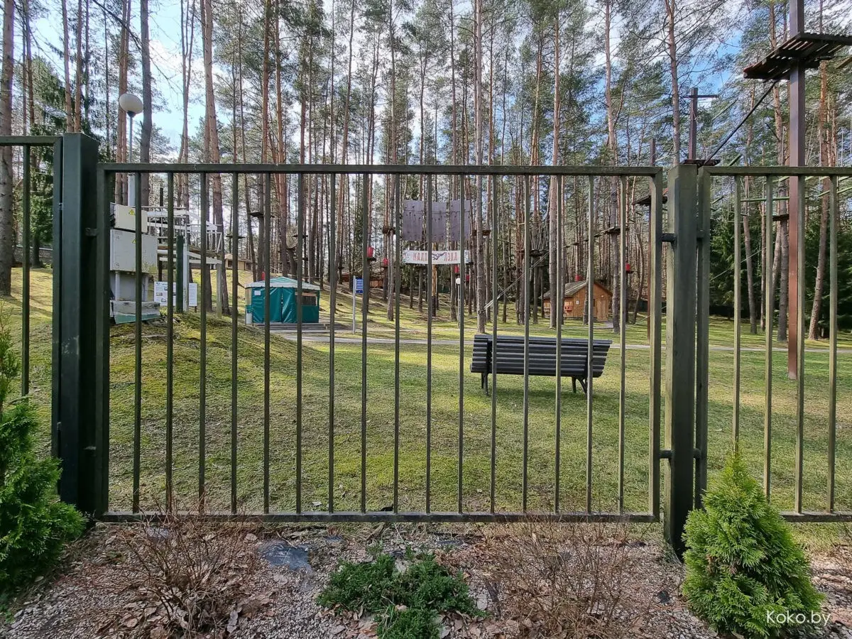 Показываю локации, где душевно погулять на природе за бесплатно и до 70 километров от Минска - фото - 52