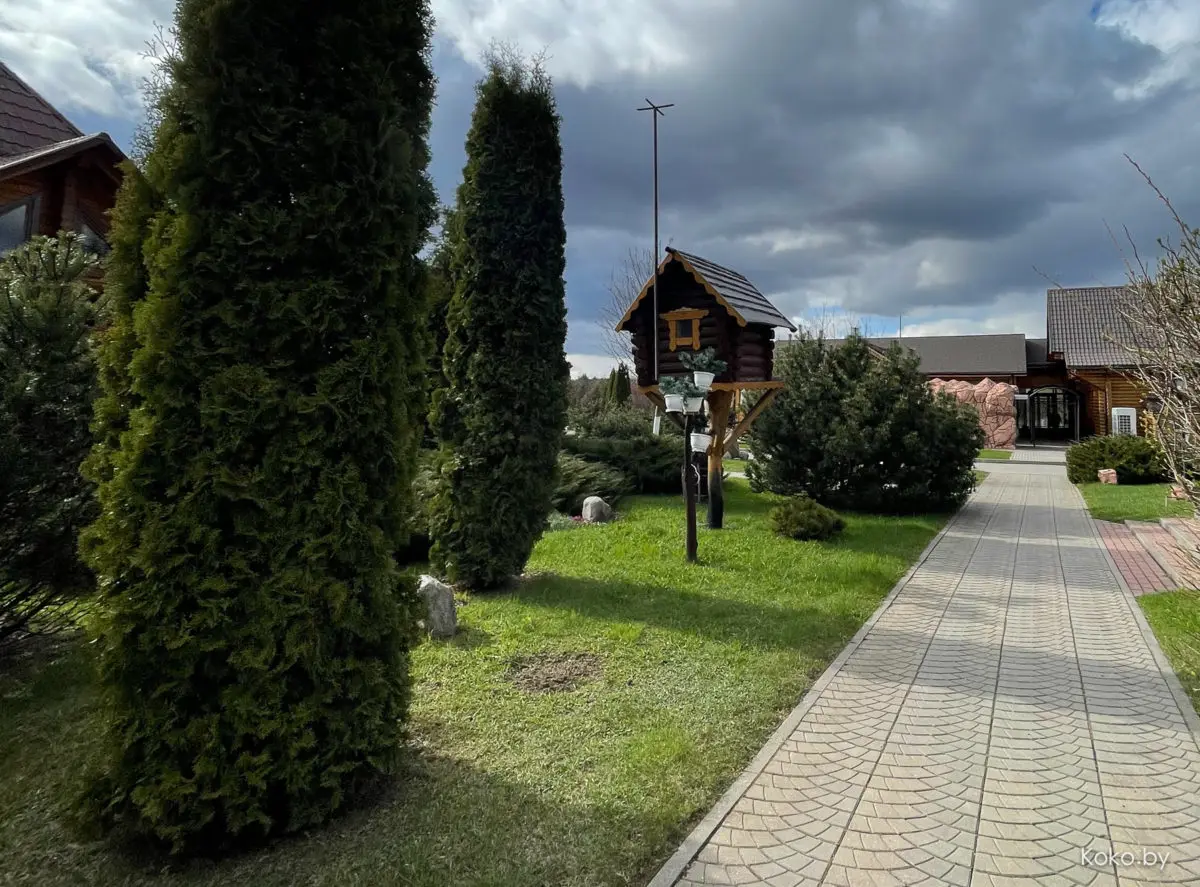 Показываю локации, где душевно погулять на природе за бесплатно и до 70 километров от Минска - фото - 86