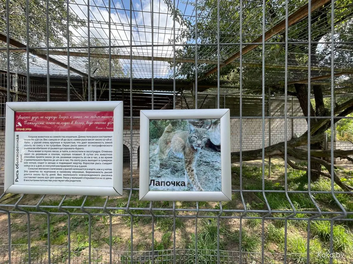 Проверяем, как отдыхается в парк-отеле «Версаль» по французско-белорусским мотивам - фото - 55