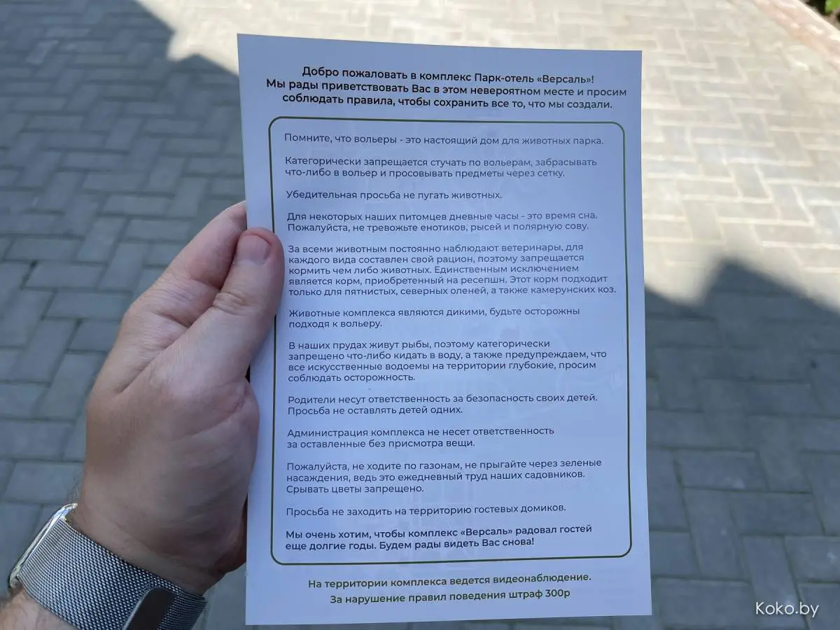 Проверяем, как отдыхается в парк-отеле «Версаль» по французско-белорусским мотивам - фото - 59