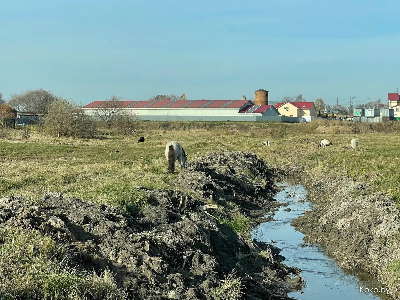 Старость, это когда тебя тянет в загородные кафе. Эко-комплекс «Купала» в 10 минутах от Минска - фото - 3