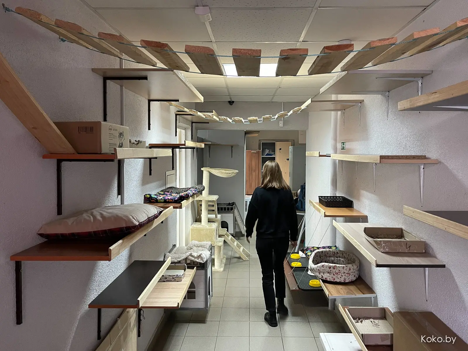 Арт-галерея «Котовасия», где кроме мяукающих котиков более 7000 экземпляров котов со всего мира - фото - 29