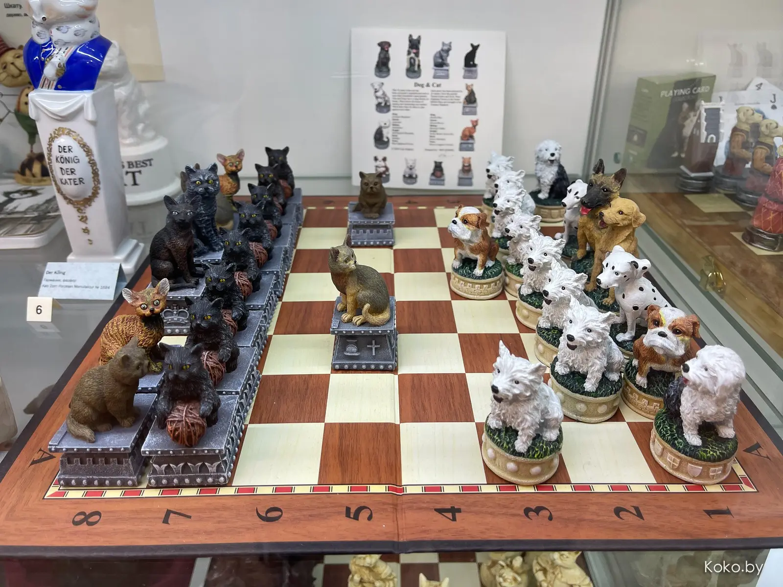 Арт-галерея «Котовасия», где кроме мяукающих котиков более 7000 экземпляров котов со всего мира - фото - 7