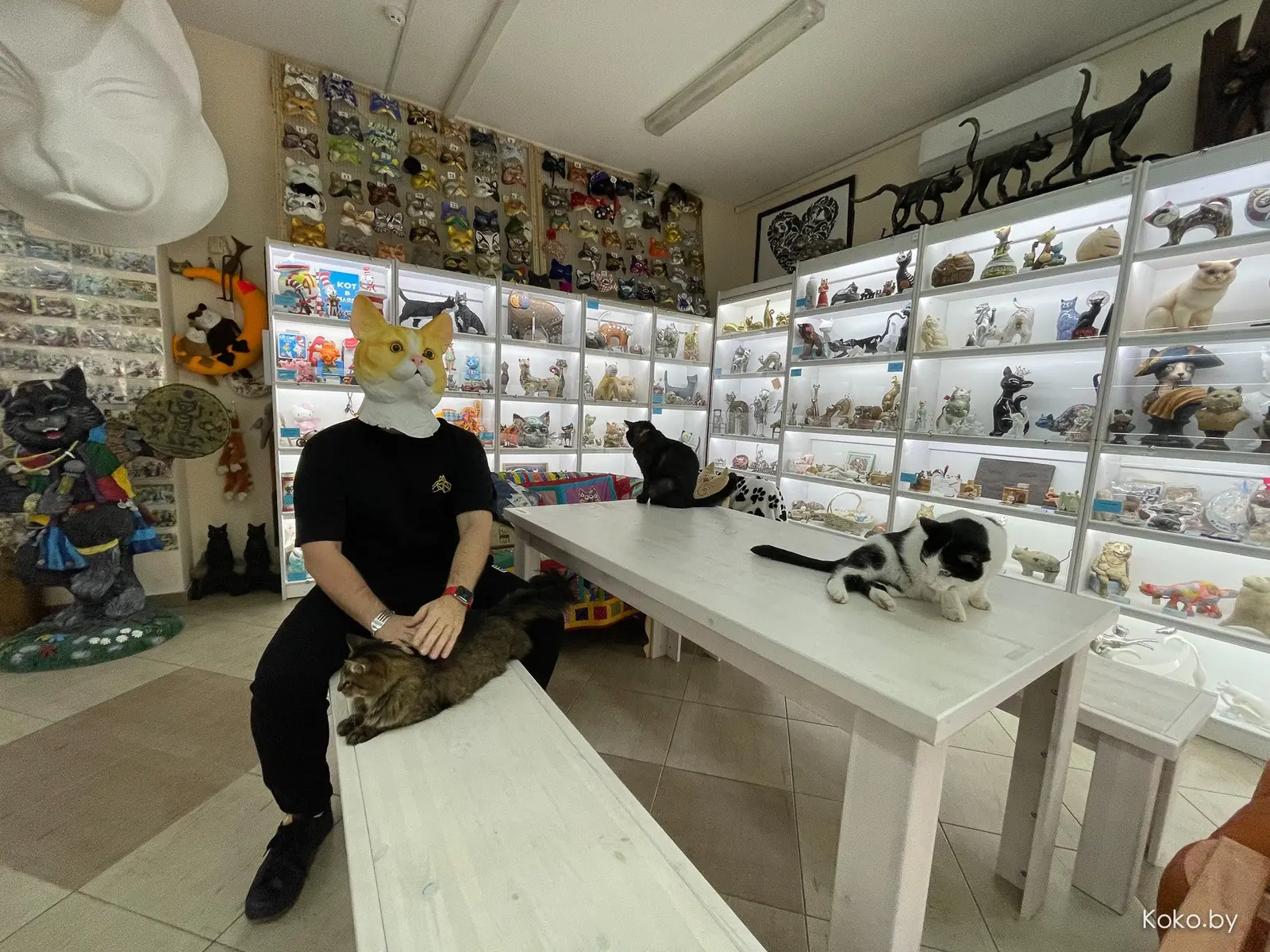Арт-галерея «Котовасия», где кроме мяукающих котиков более 7000 экземпляров котов со всего мира - фото - 63