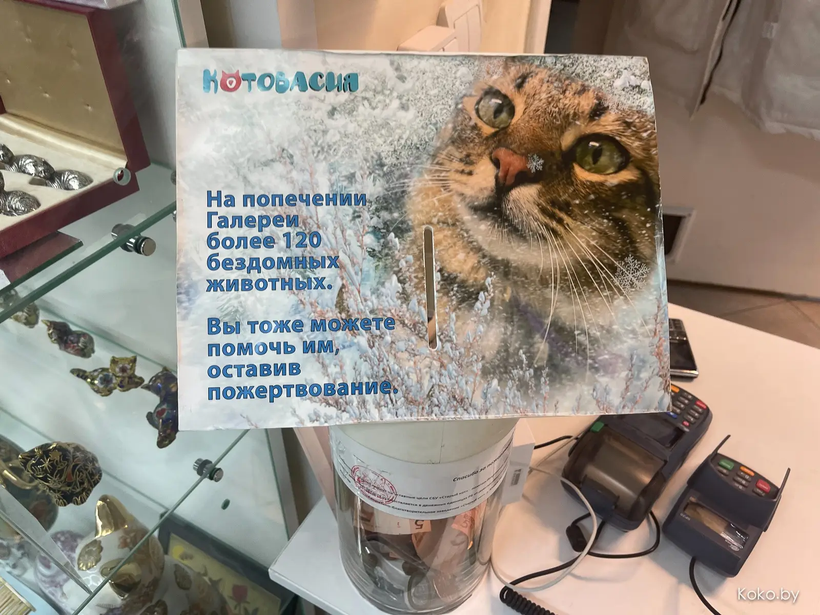 Арт-галерея «Котовасия», где кроме мяукающих котиков более 7000 экземпляров котов со всего мира - фото - 69