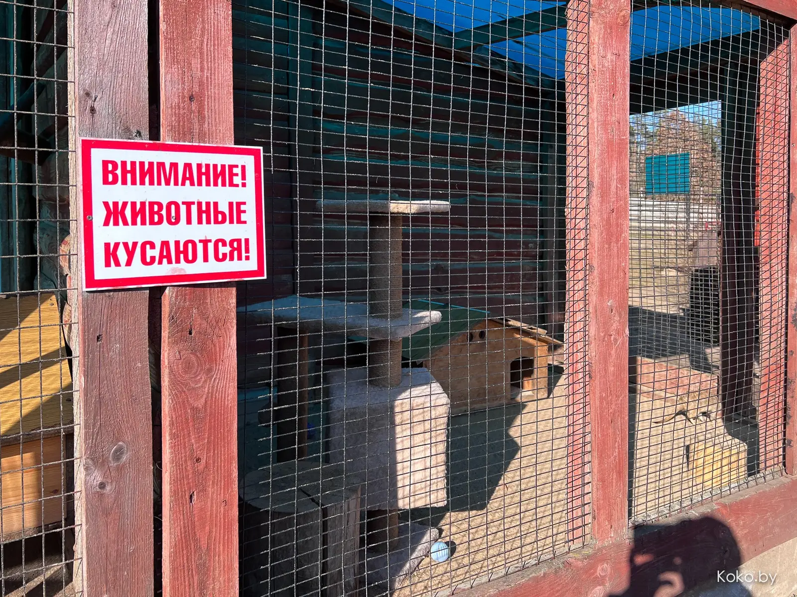 Приехал заценить туристический зоопарк «Натюрлих» и немецкий комплекс в глухом лесу - «Хатки» - фото - 9