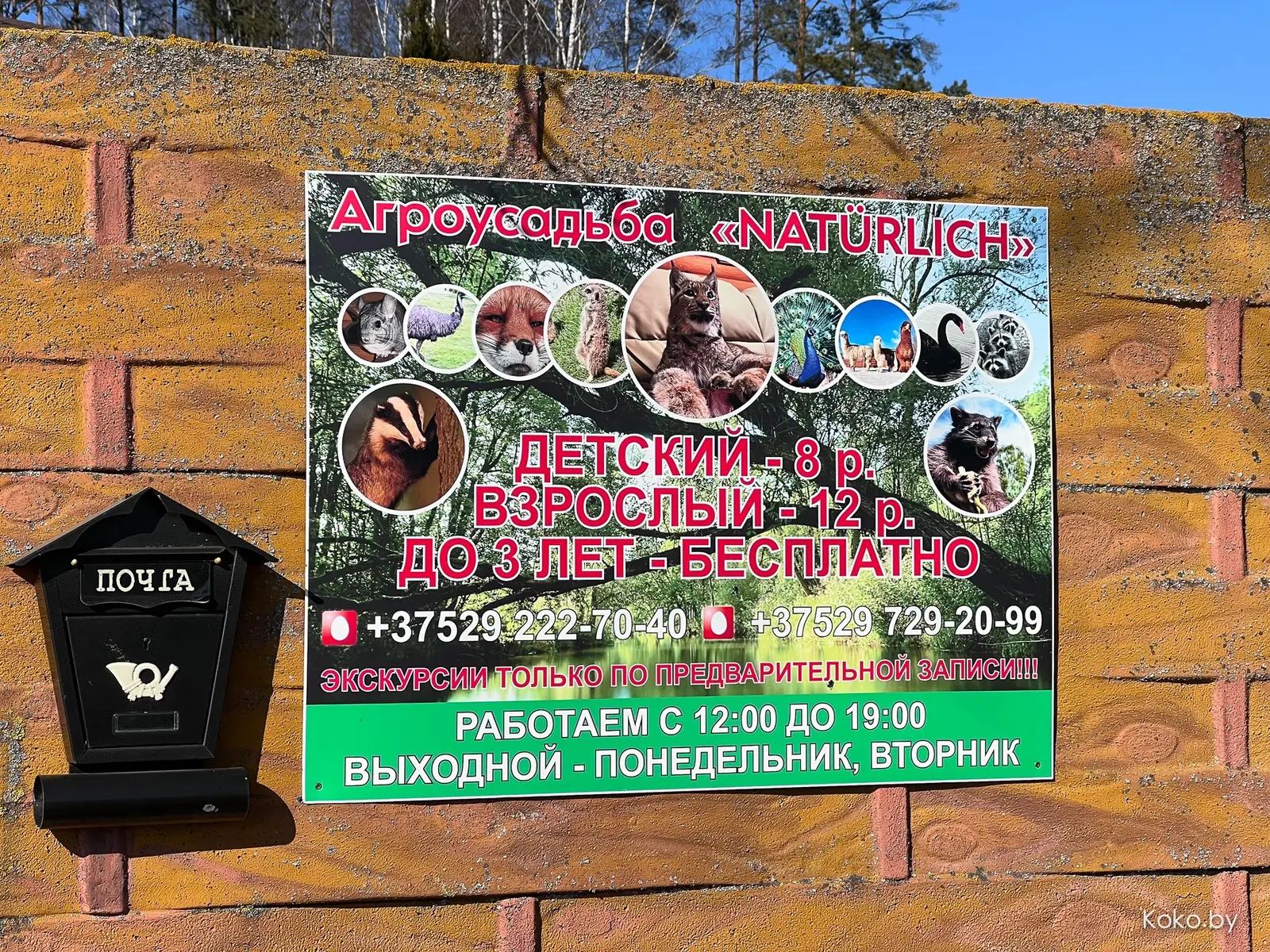 Приехал заценить туристический зоопарк «Натюрлих» и немецкий комплекс в глухом лесу - «Хатки» - фото - 4