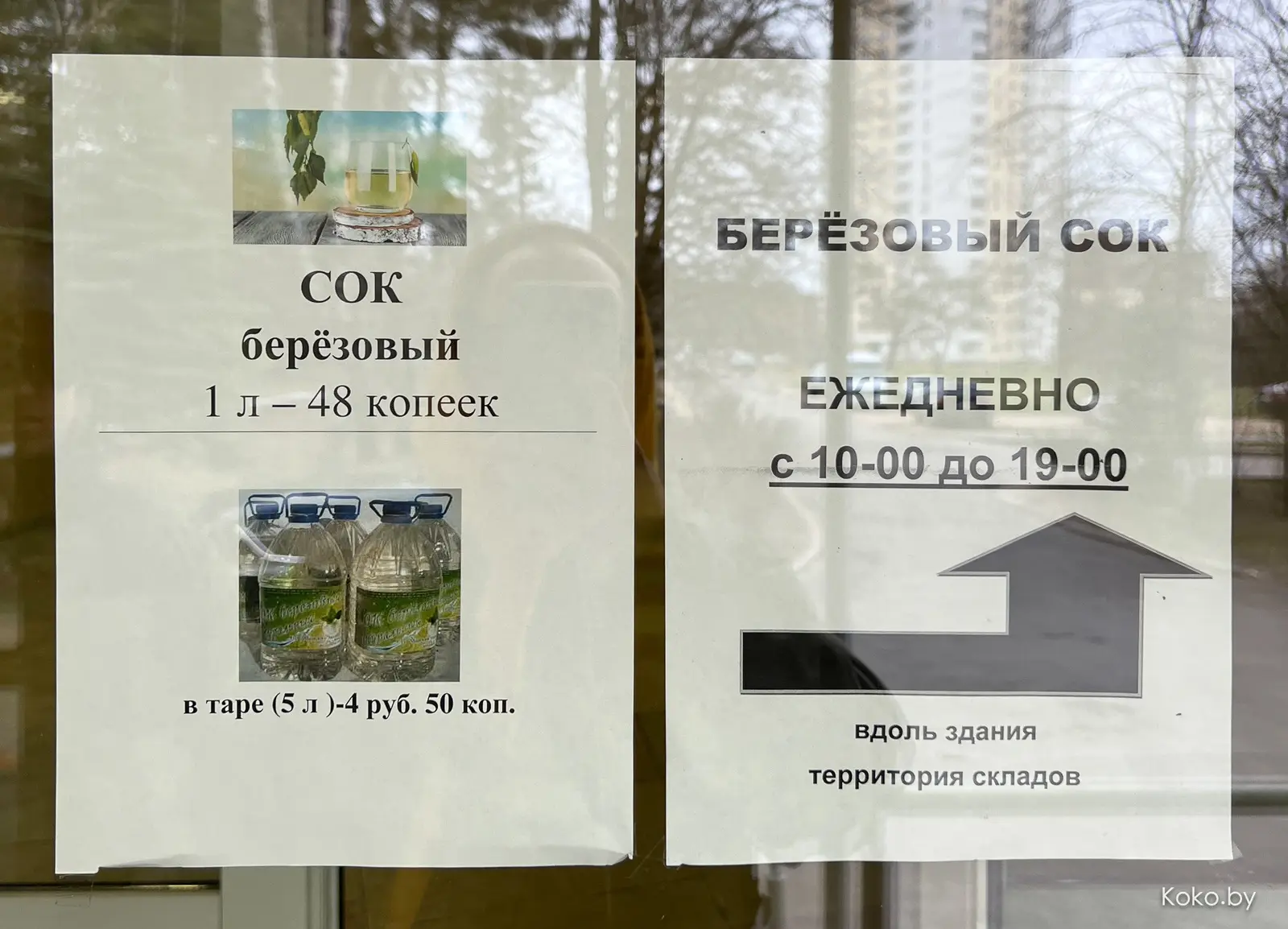 Где в Минске купить берёзовый сок. Даю наводку с явками - фото - 3