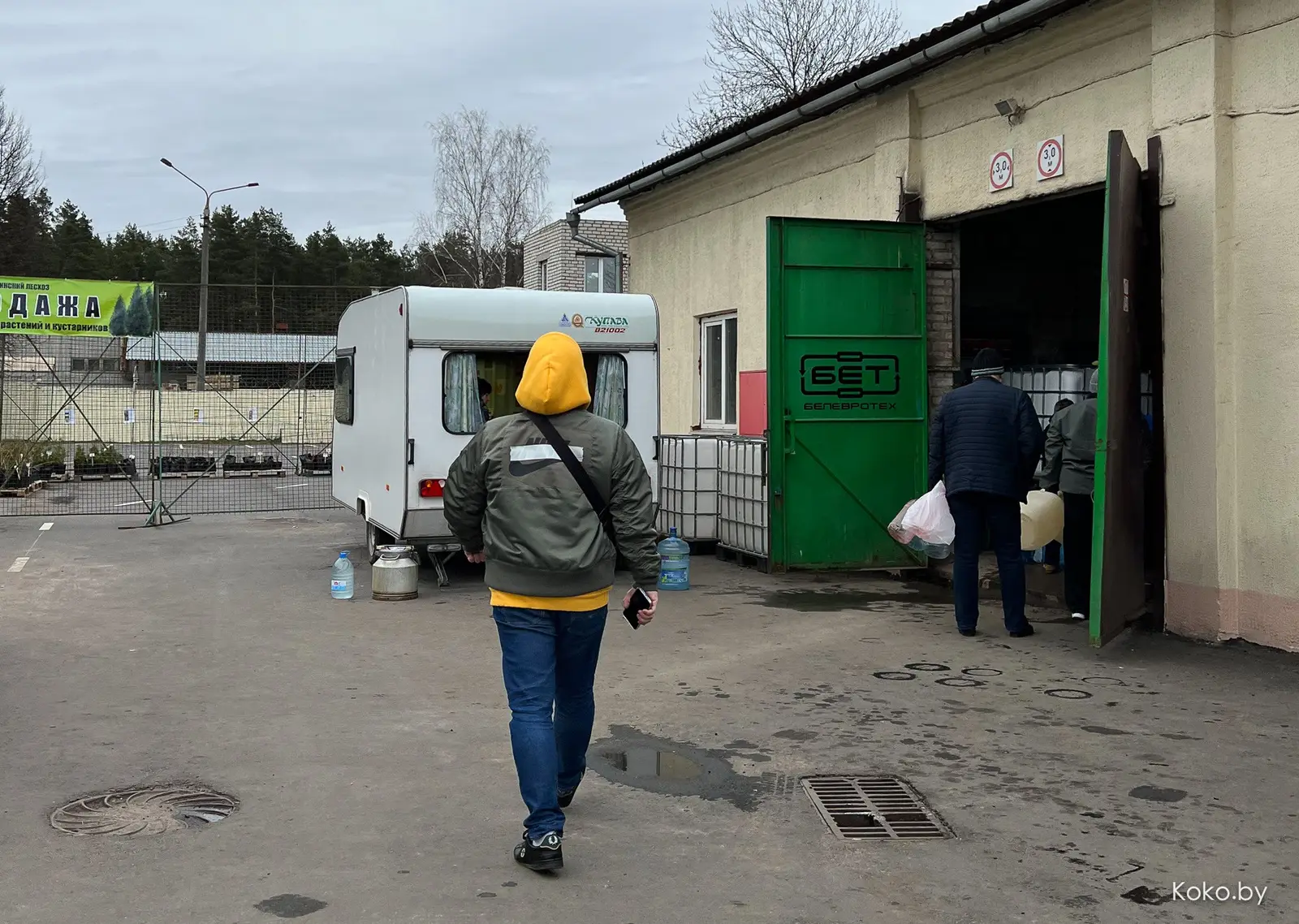 Где в Минске купить берёзовый сок. Даю наводку с явками - фото - 5