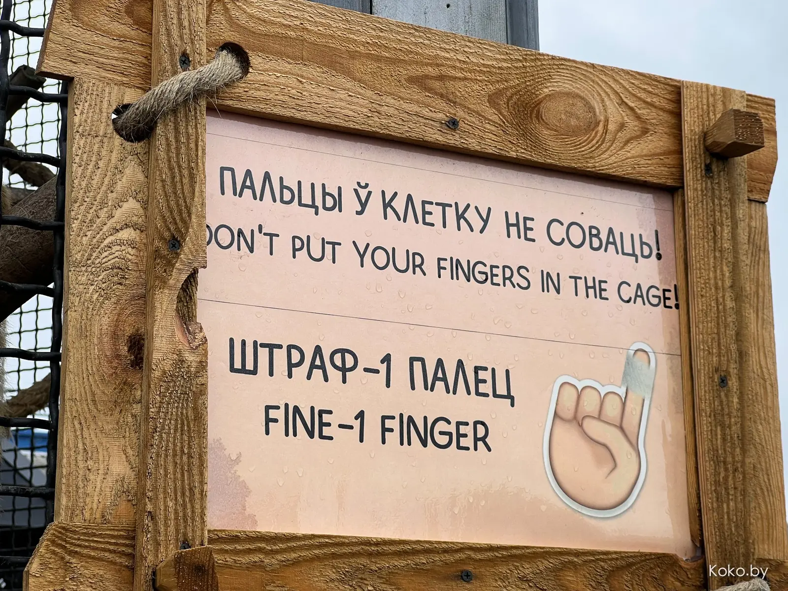Пожалуй, самый крутой зооландшафтный парк в Беларуси! Прошлись по территории комплекса «Диприз» - фото - 24