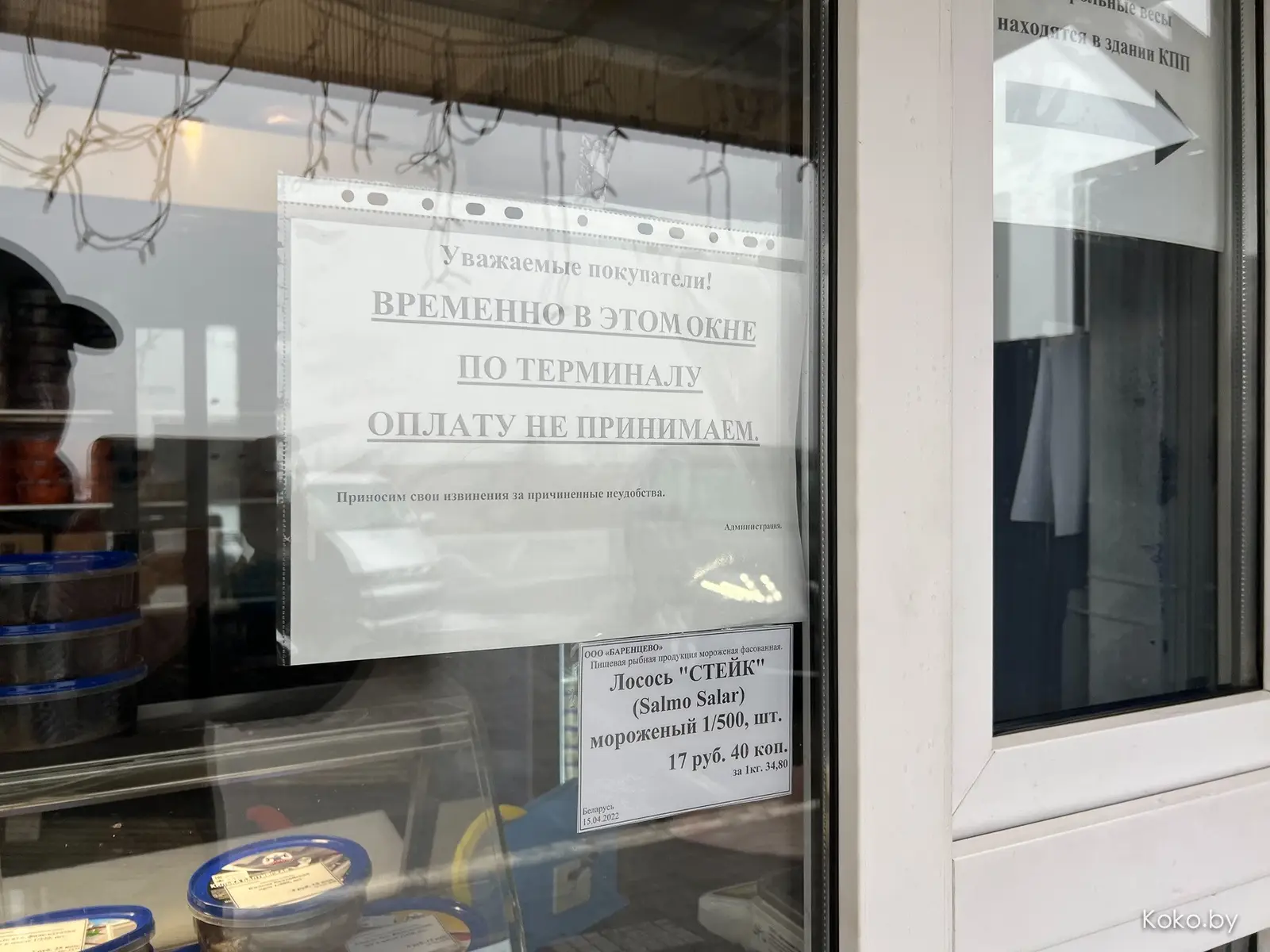 В поисках лососевых чипсов вышли на рыбный магазин первой необходимости при заводе «Баренцево» - фото - 7