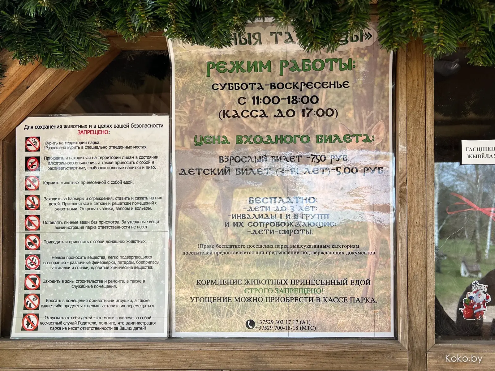 Пожалуй, самый крутой зооландшафтный парк в Беларуси! Прошлись по территории комплекса «Диприз» - фото - 44