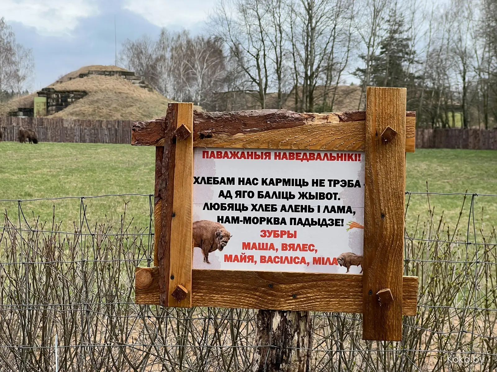 Пожалуй, самый крутой зооландшафтный парк в Беларуси! Прошлись по территории комплекса «Диприз» - фото - 58