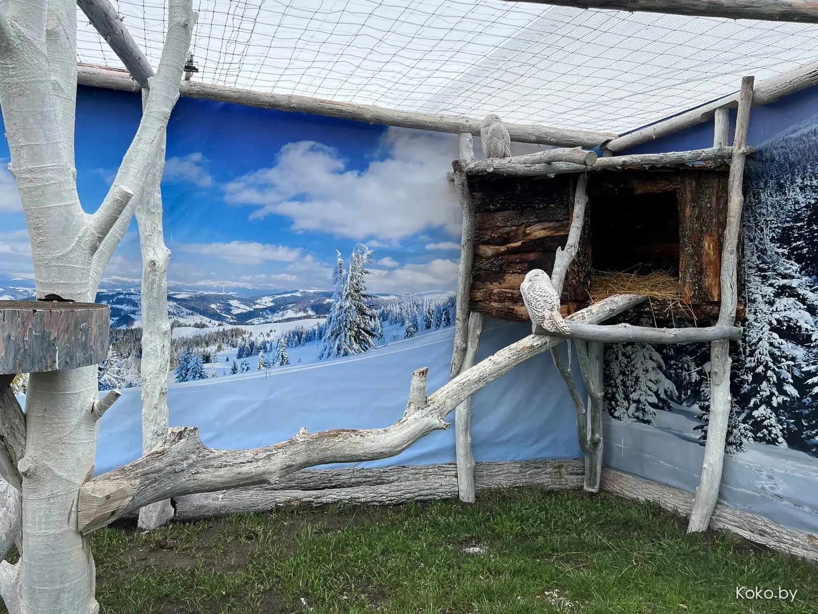 Пожалуй, самый крутой зооландшафтный парк в Беларуси! Прошлись по территории комплекса «Диприз» - фото - 66