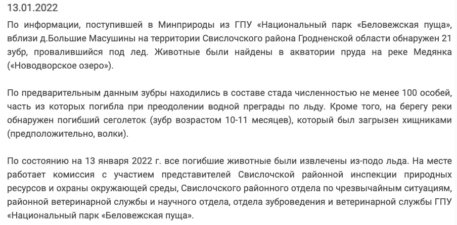 Кто поднял руку на зубра и сделал из него колбасу. Новинка - гродненские мясные забавы - фото - 5