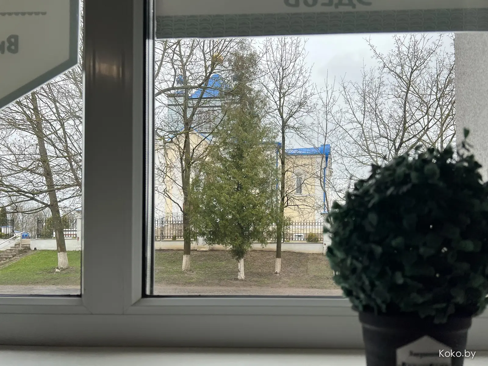 Съездили на тест пельменей из «Лепим Сами», и другие приключения Кокобая в Дзержинске - фото - 18