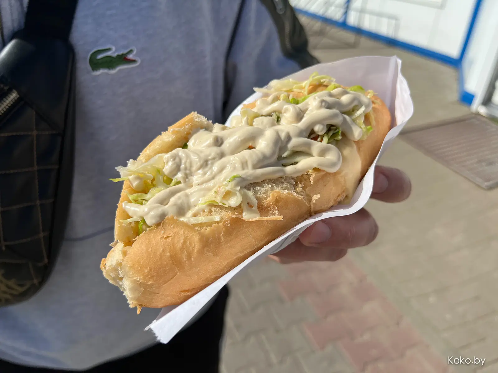 Проверяем миф о самом вкусном  в Беларуси мороженом из Кобрина, а заодно протестил местные заведения - фото - 18