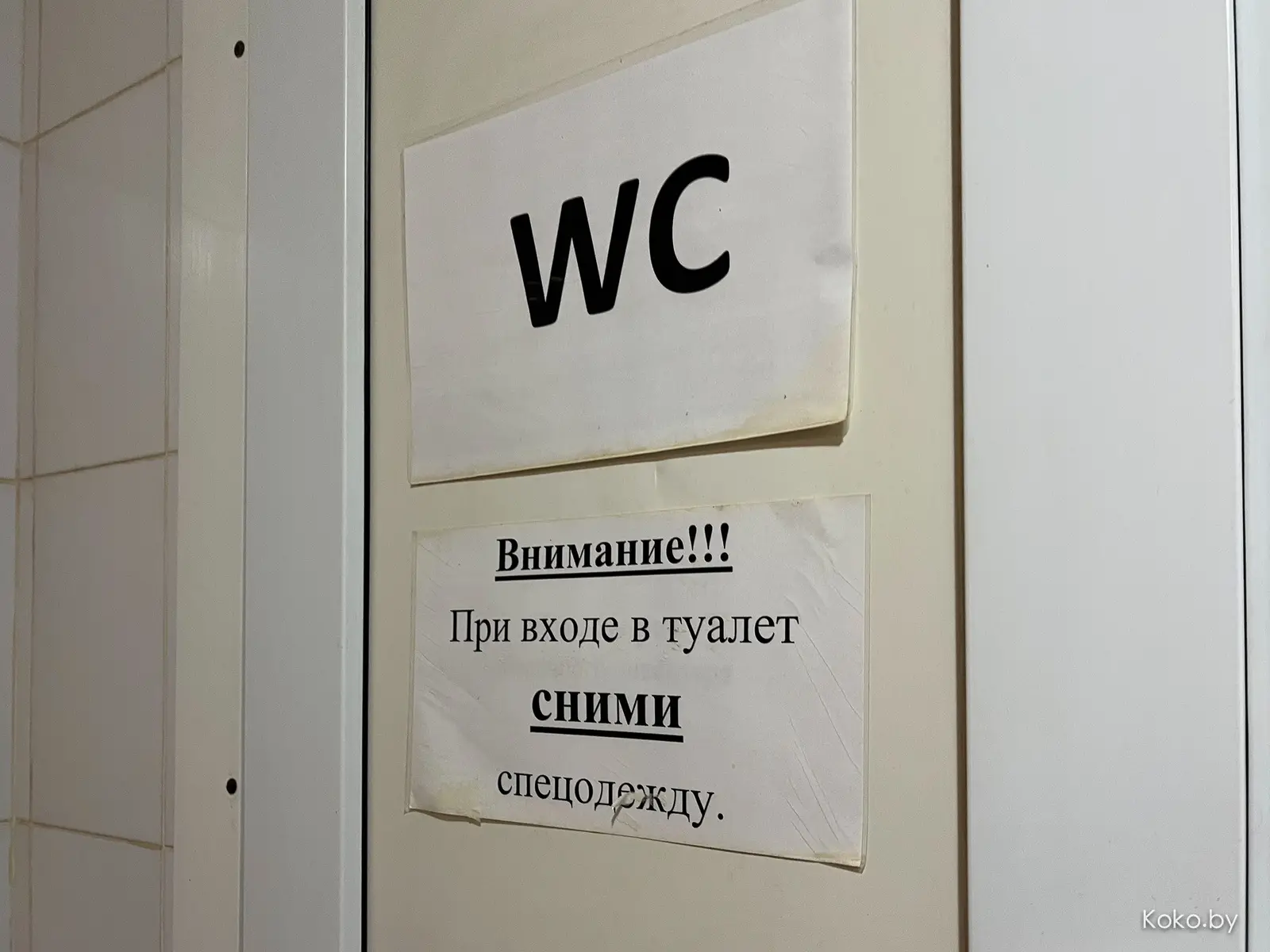 Съездили на тест пельменей из «Лепим Сами», и другие приключения Кокобая в Дзержинске - фото - 25