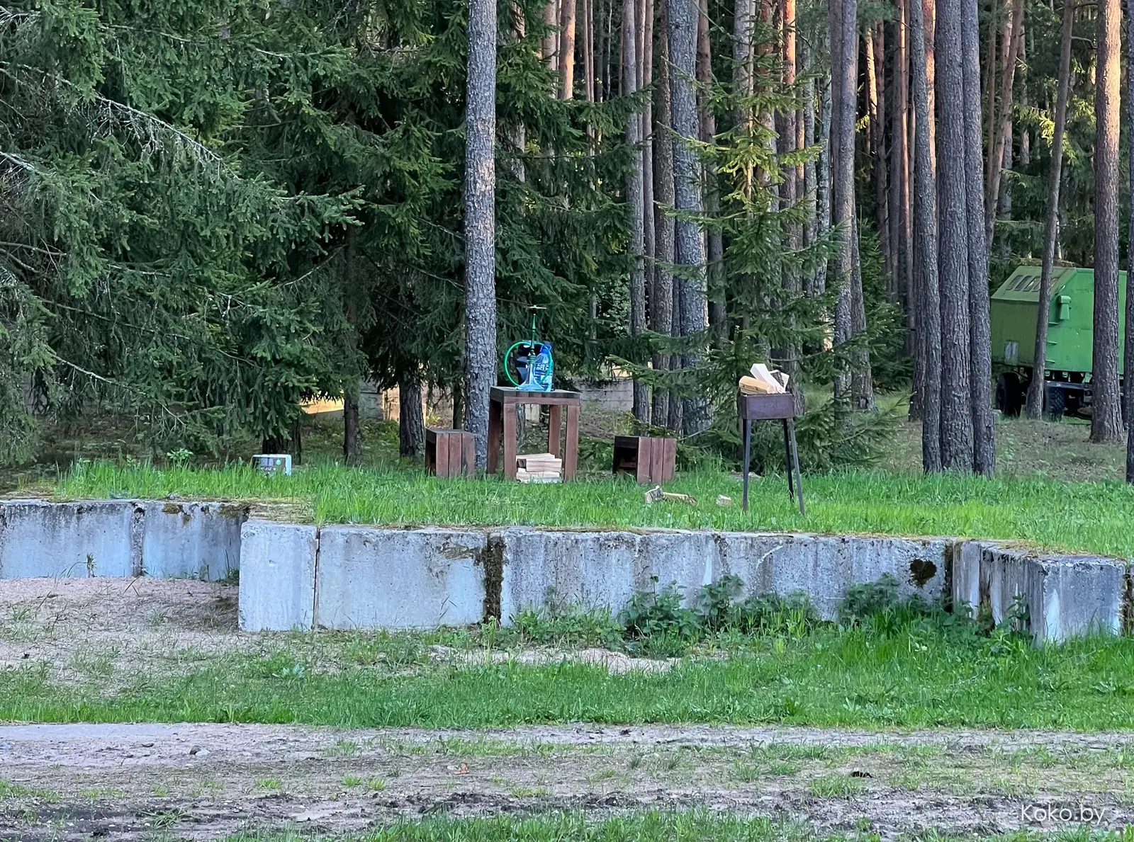Одичать в загородном эко-отеле «Солнечный Кит» у озера под Минском - фото - 7