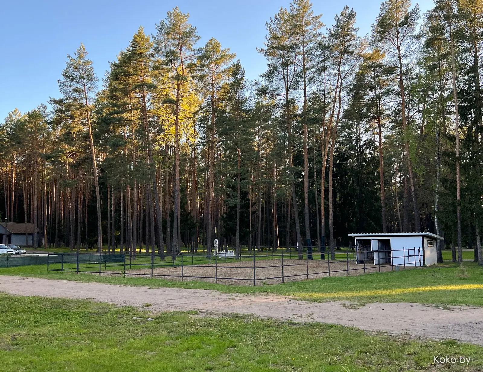 Одичать в загородном эко-отеле «Солнечный Кит» у озера под Минском - фото - 9