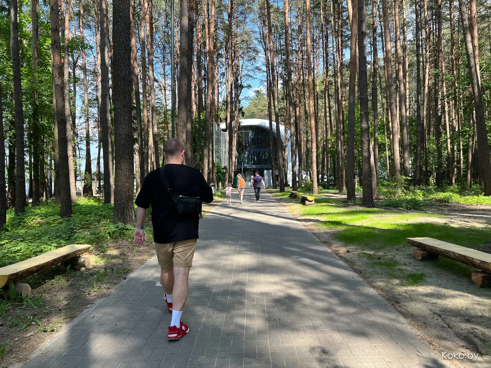 В лесу под Минском открыли ресторан «Веннер», где ничего не готовят, кроме специальных сетов - фото - 2