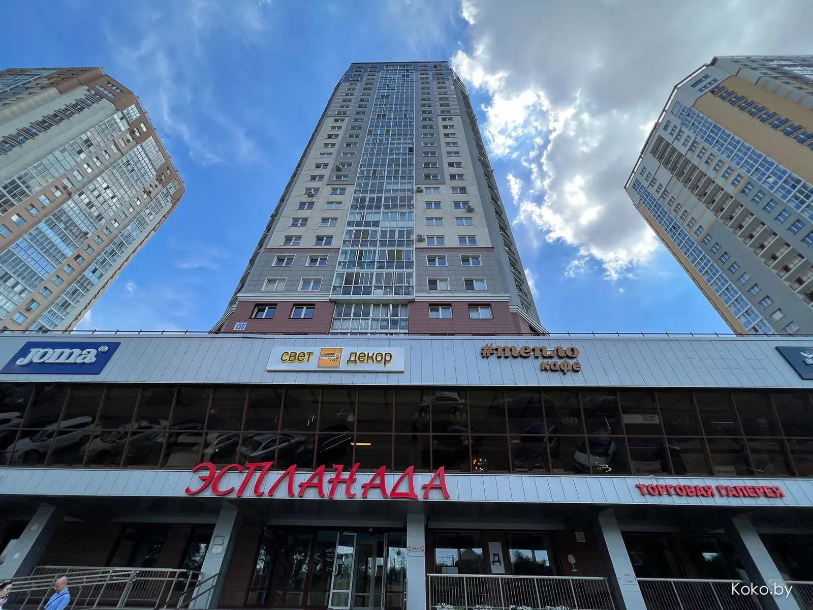 Куда завела эволюция новое кафе «Дарвин» из бывших «Дилетантов» - фото - 2