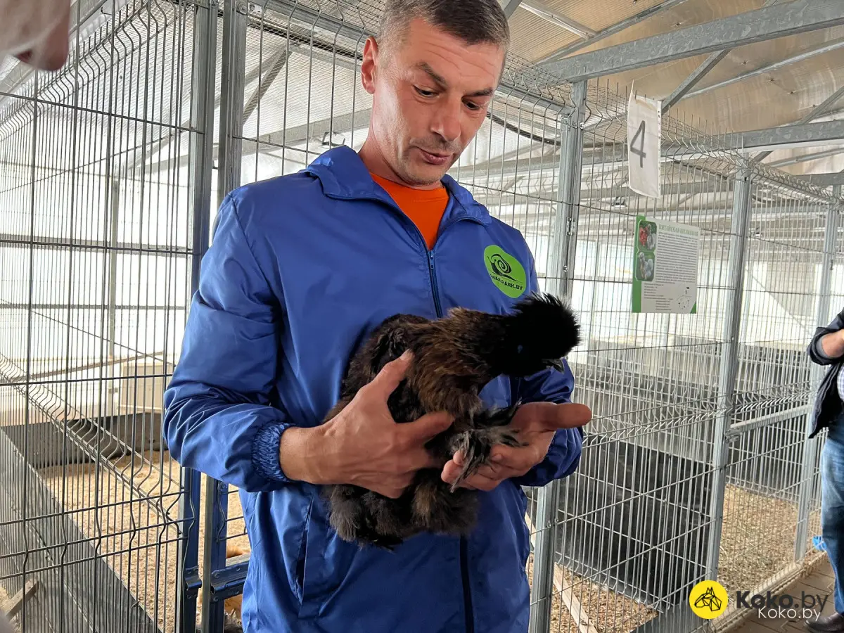 Где отдохнуть с семьей до 70 километров от Минска? Охотимся на новой ферме «Улитка» - фото - 10