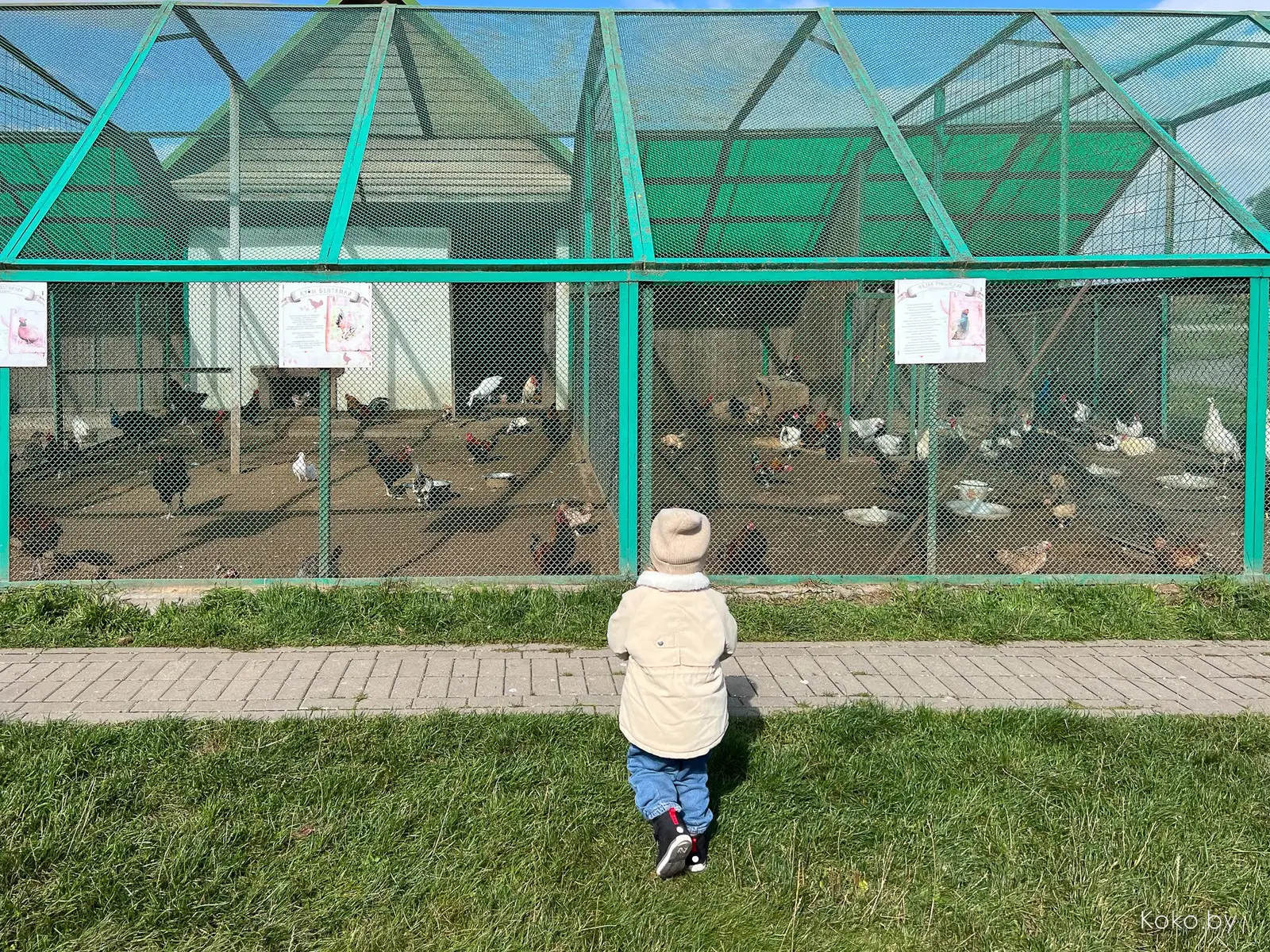 А вы уже были в экопарке-зоопарке с кафе и рестораном «Станьково»? Если нет, то время пришло! - фото - 32