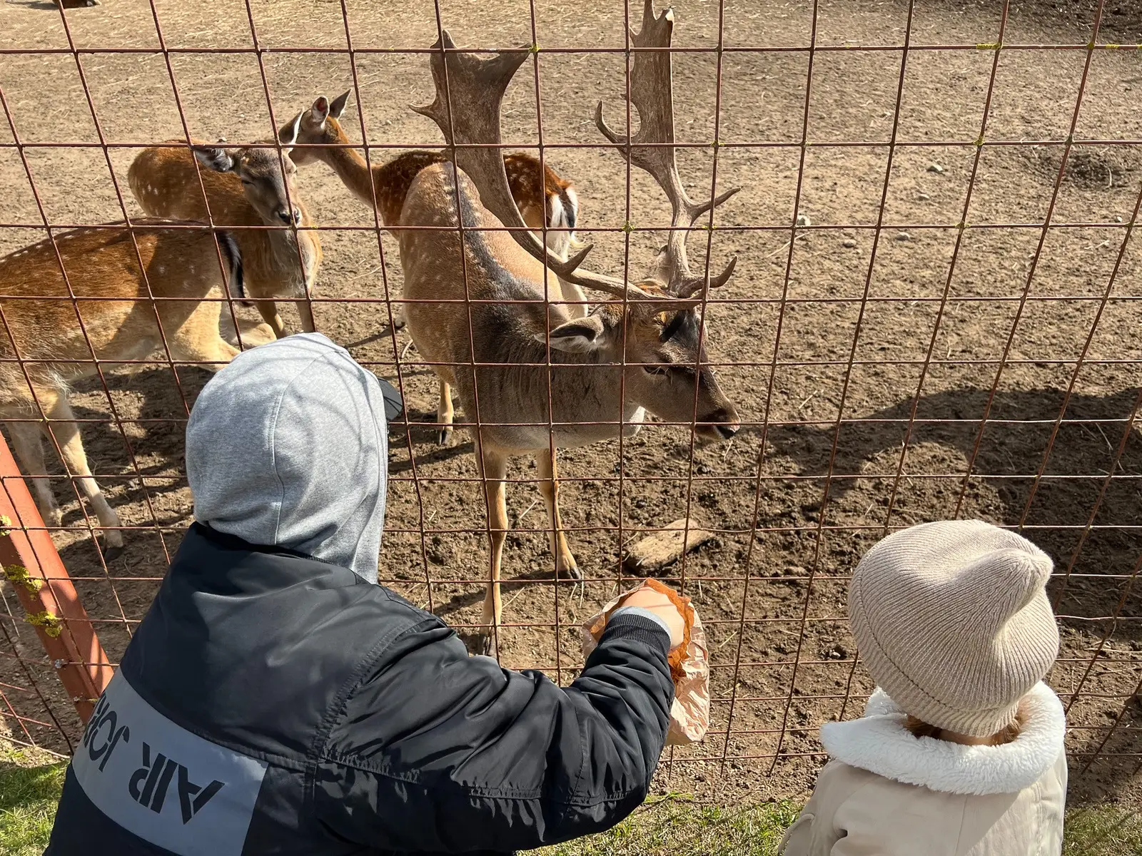 А вы уже были в экопарке-зоопарке с кафе и рестораном «Станьково»? Если нет, то время пришло! - фото - 1