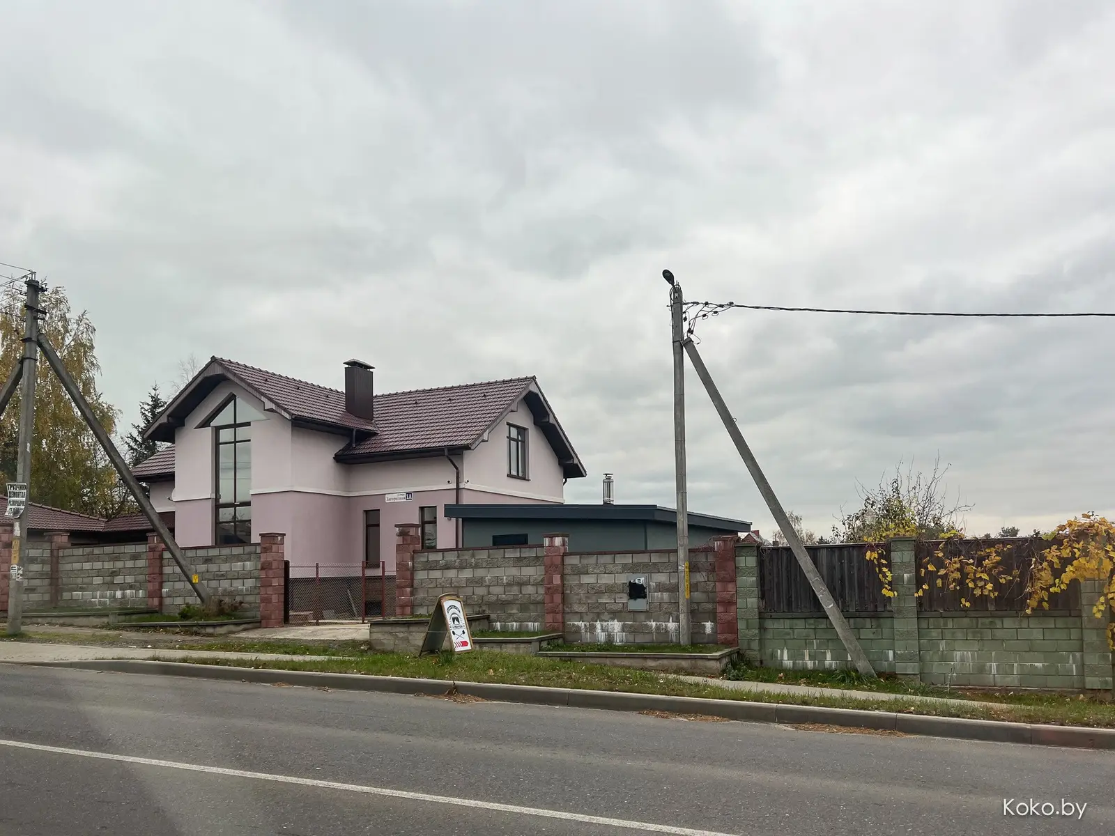 Новая хоум крафт «Пицца на огне» из дровяной печи по рецептам Колодищ - фото - 3