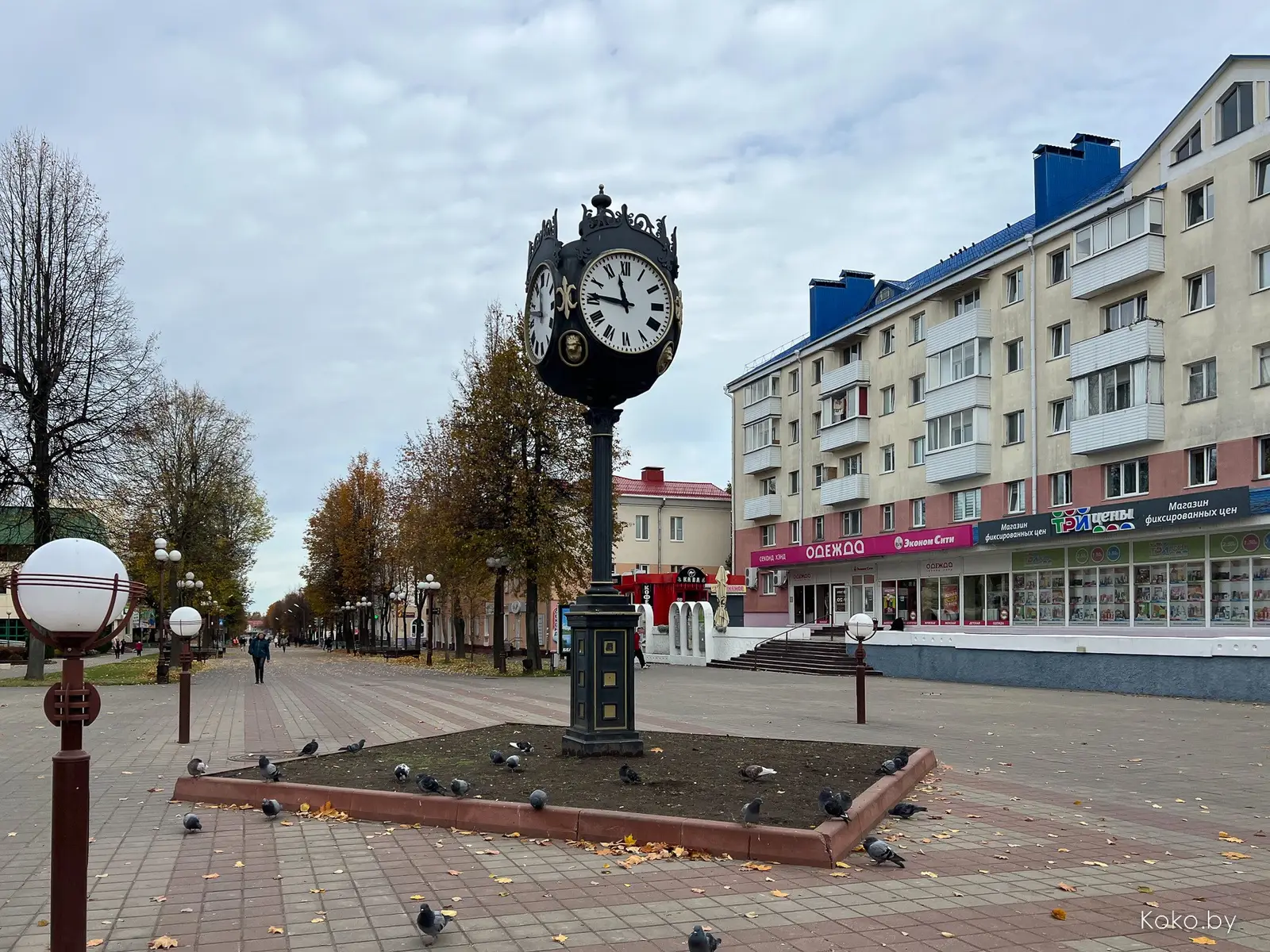 Никогда в Минске! Проверил, что сейчас происходит с ценами на еду в заведениях Молодечно - фото - 2