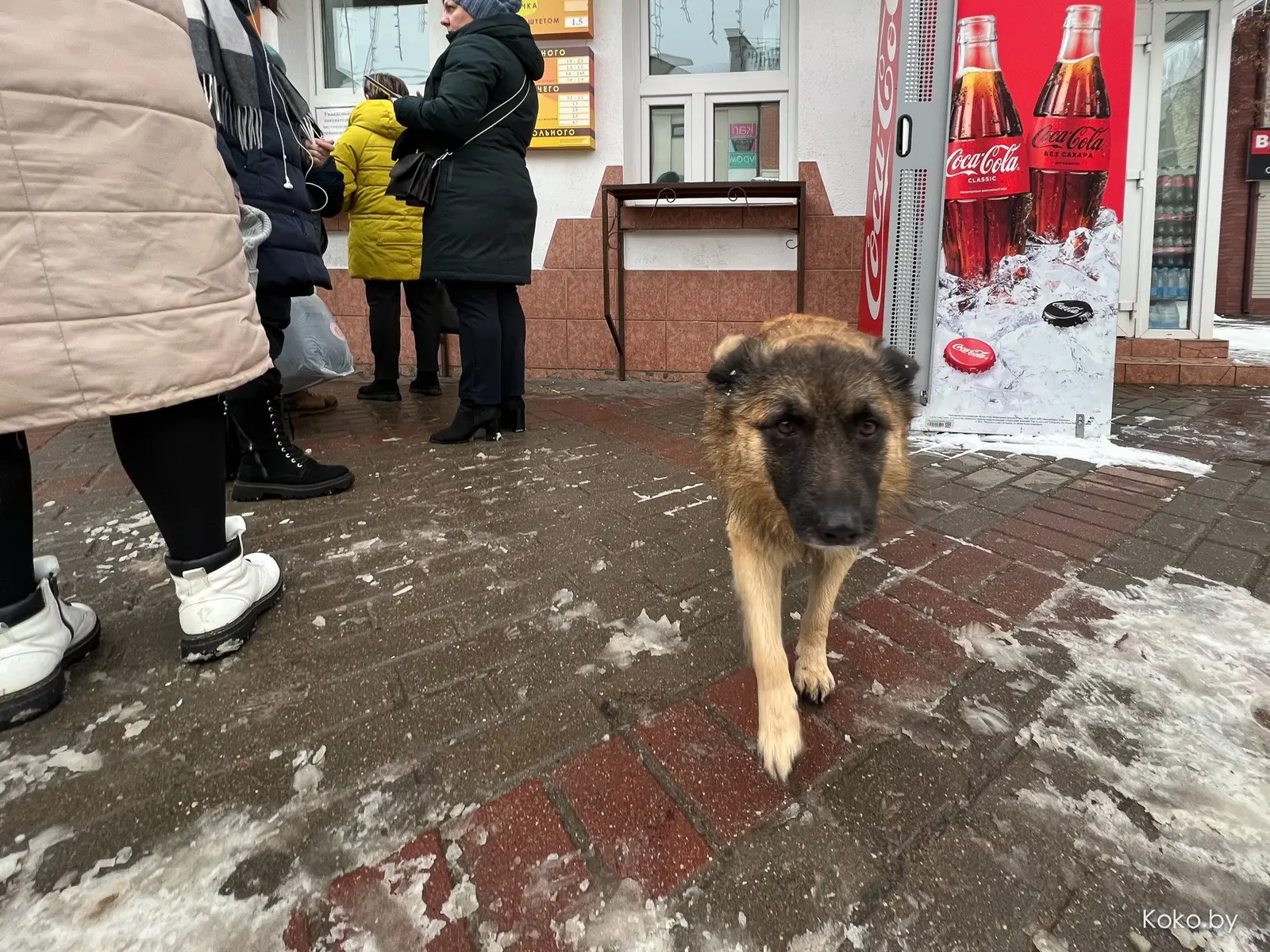 Где и сколько стоит поесть в Барановичах: тандыр-бар, лодочки, пицца на дровах и кофе за 3 рубля - фото - 40