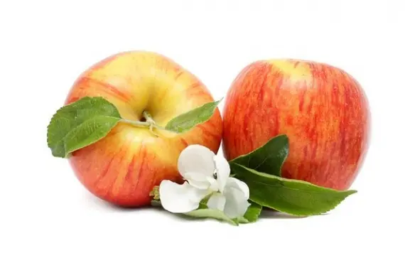 Продукты: 6 способов вкусно и полезно съесть яблоко