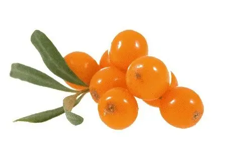 Продукты: Облепиха