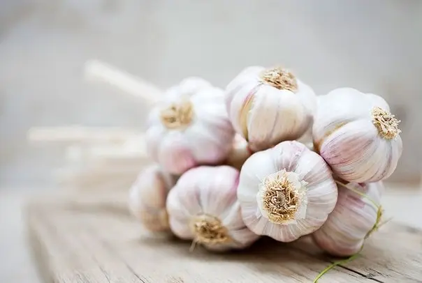 Здоровье и питание: Наиболее полезные продукты