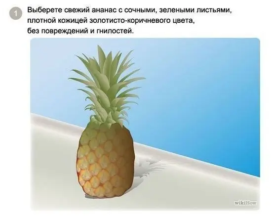 Советы: Как вырастить ананас в домашних условиях