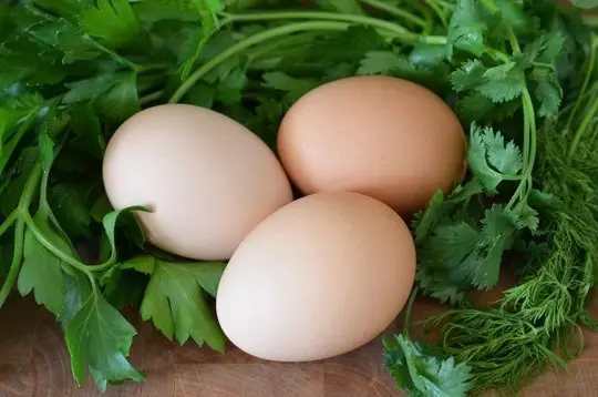 Кухни мира: Иранский омлет с зеленью «Куку сабзи»