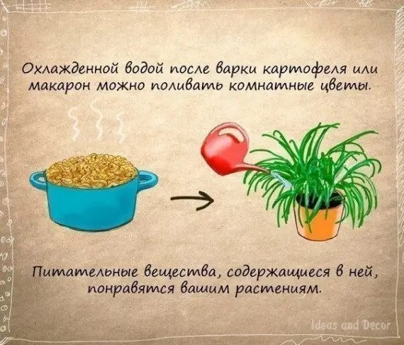 Советы: Полезные советы которых вы ещё не слышали