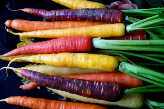 Вкусное о еде: 10 уникальных секретов моркови, которые полезно знать